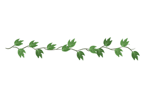 leaf divider